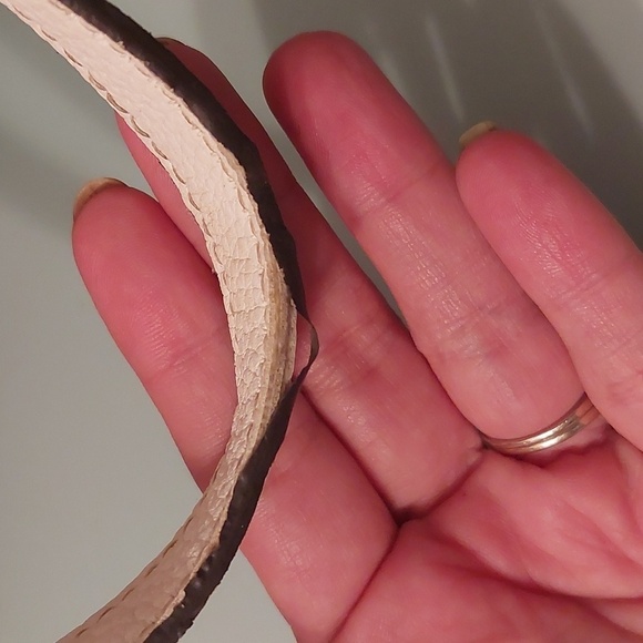 NWT JUICY COUTURE RED ROSES FLORAL TOTE - Picture 5 of 13